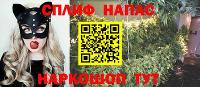 тгк Можга