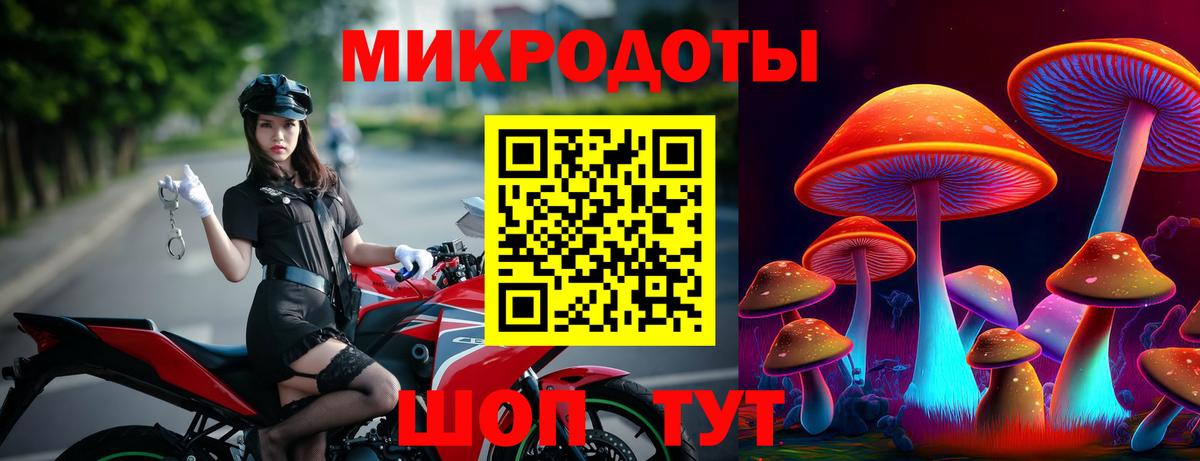 Алатырь  Псилоцибиновые грибы мицелий  Вход с VPN 